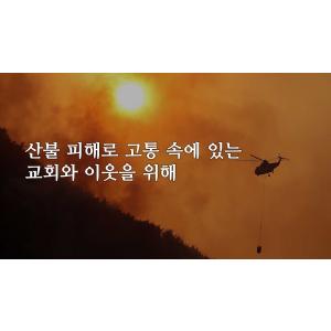 산불로 고통받는 이웃을 위해 함께 기도해주세요 │기도와 후원