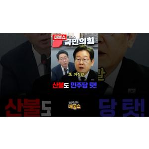 산불마저 정쟁으로 활용하는 잔인한 국힘!