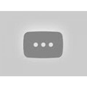 성경적 교회 왜 안 나타나는가? @ 2024 심화강좌